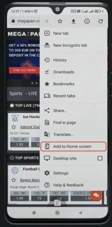 Add megapari app home screen option